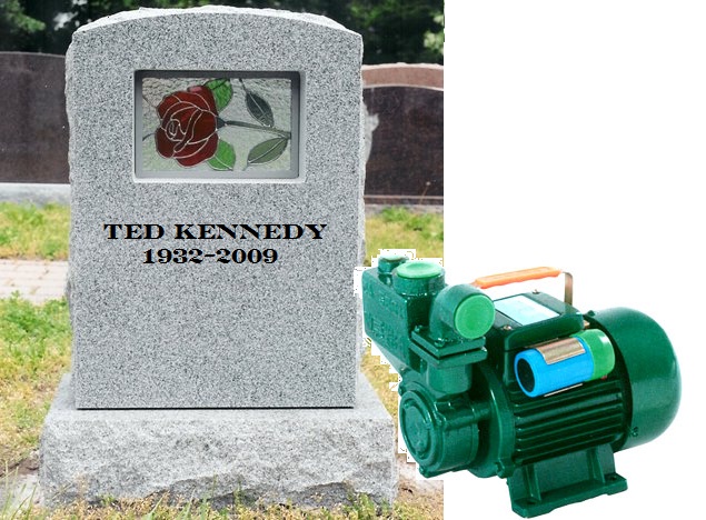 ted kennedy grave. TED KENNEDY SPINNING