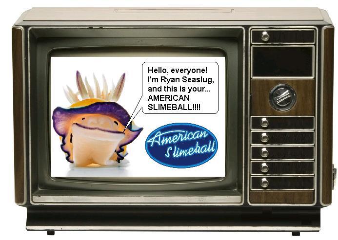 SLIMEBALL1